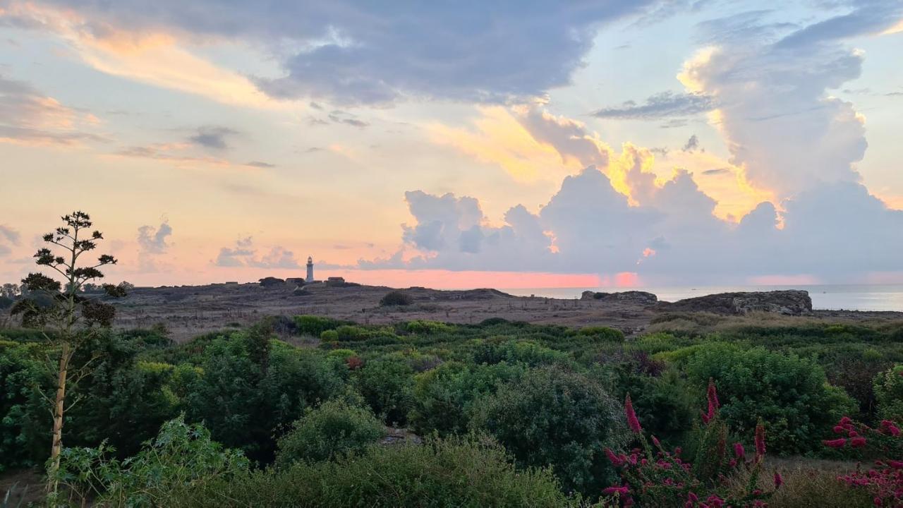 Phaedrus Living: Seaview Luxury Villa Venus Pafos Dış mekan fotoğraf